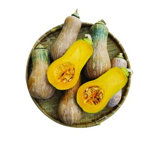 Bí hồ lô